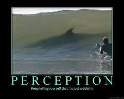 perception